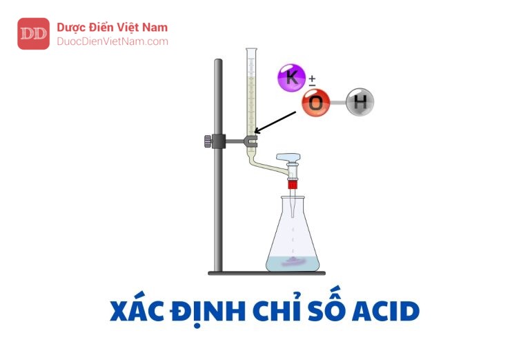 XÁC ĐỊNH CHỈ SỐ ACID