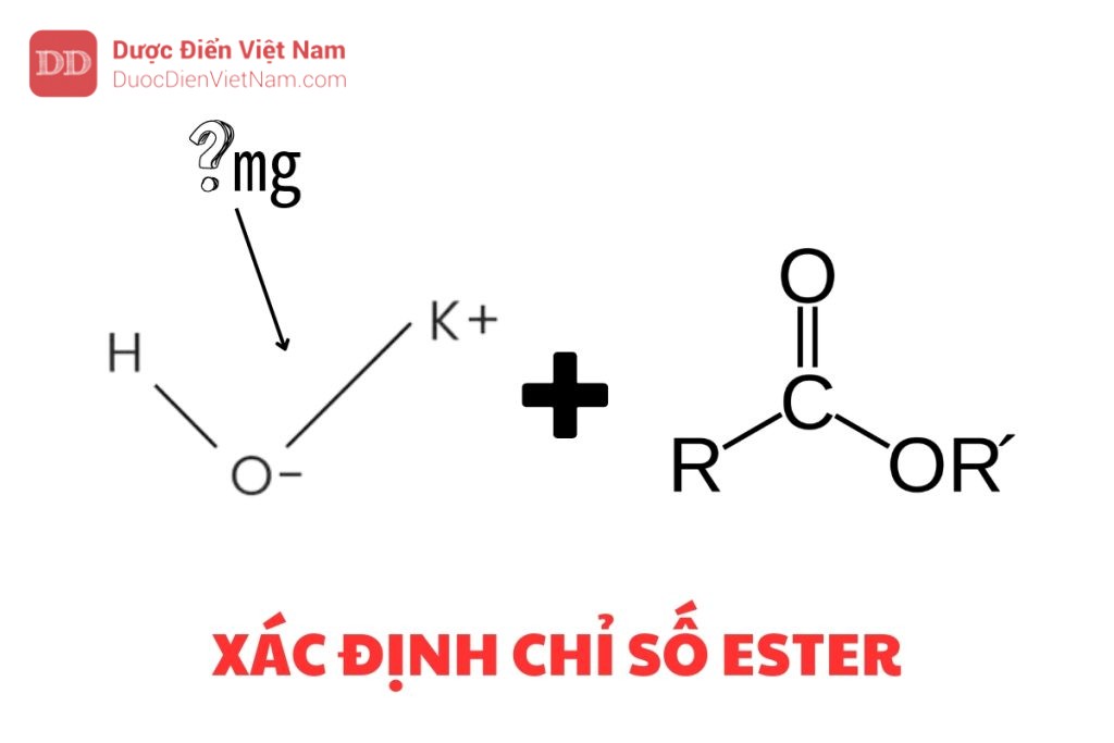 XÁC ĐỊNH CHỈ SỐ ESTER