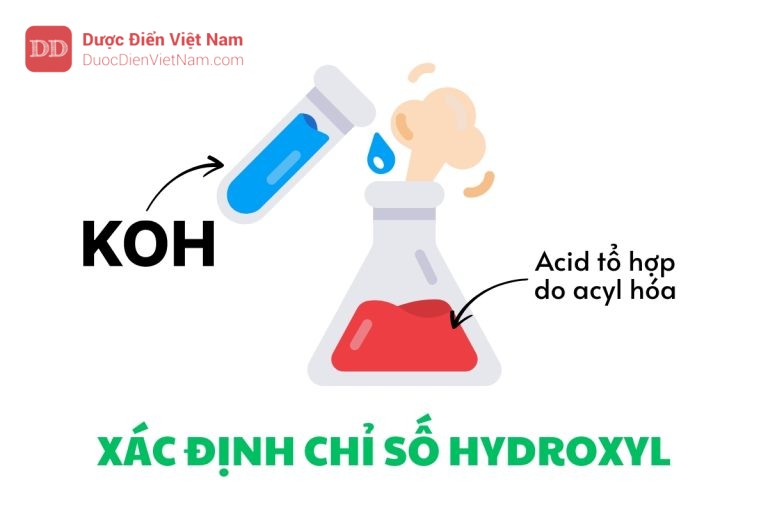 XÁC ĐỊNH CHỈ SỐ HYDROXYL