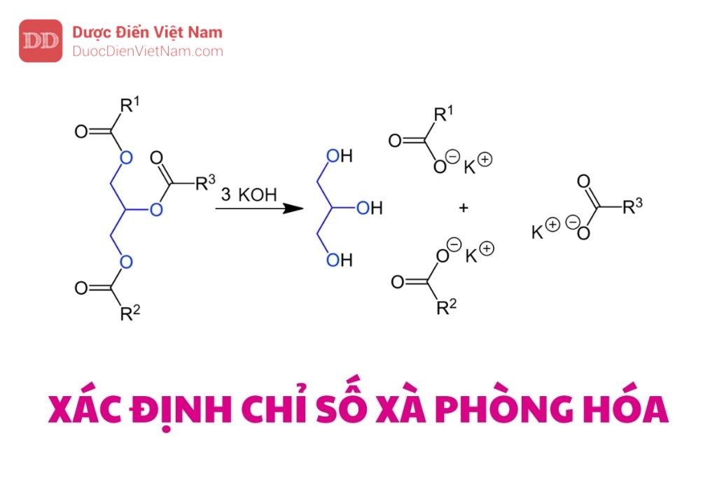 XÁC ĐỊNH CHỈ SỐ XÀ PHÒNG HÓA