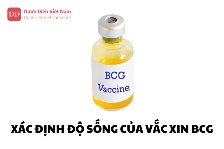 XÁC ĐỊNH ĐỘ SỐNG CỦA VẮC XIN BCG