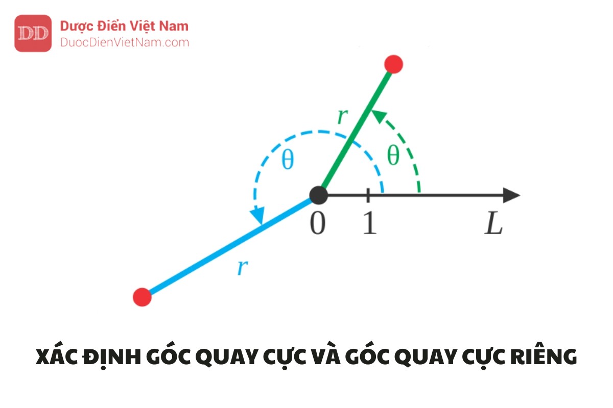 Góc Quay Cực Là Gì? Khám Phá Ý Nghĩa và Ứng Dụng Thực Tiễn