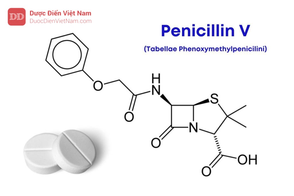 VIÊN NÉN PENICILIN V