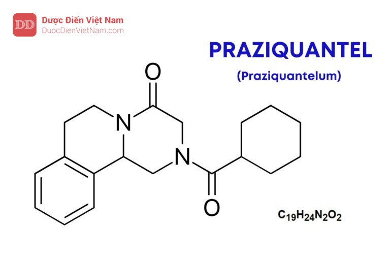 PRAZIQUANTEL