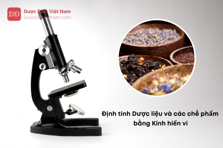 Định tính dược liệu và các chế phẩm bằng kính hiển vi