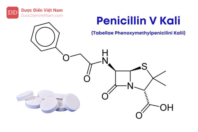 VIÊN NÉN PENICILIN V KALI