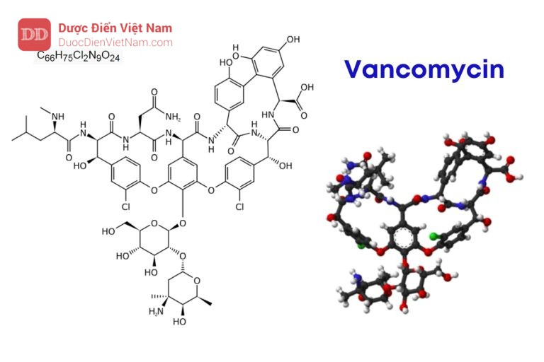 bot-pha-tiem-vancomycin