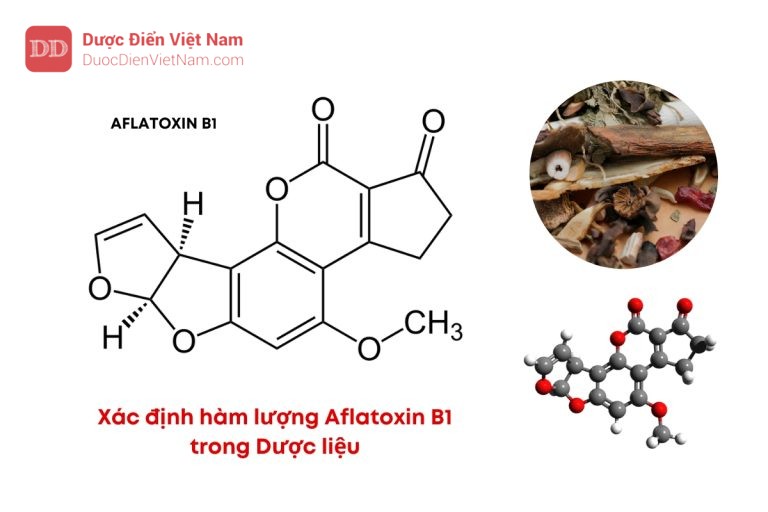 Xác định hàm lượng Aflatoxin B1 trong dược liệu