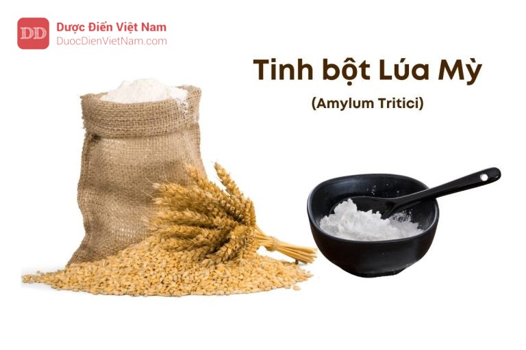 TINH BỘT LÚA MÌ