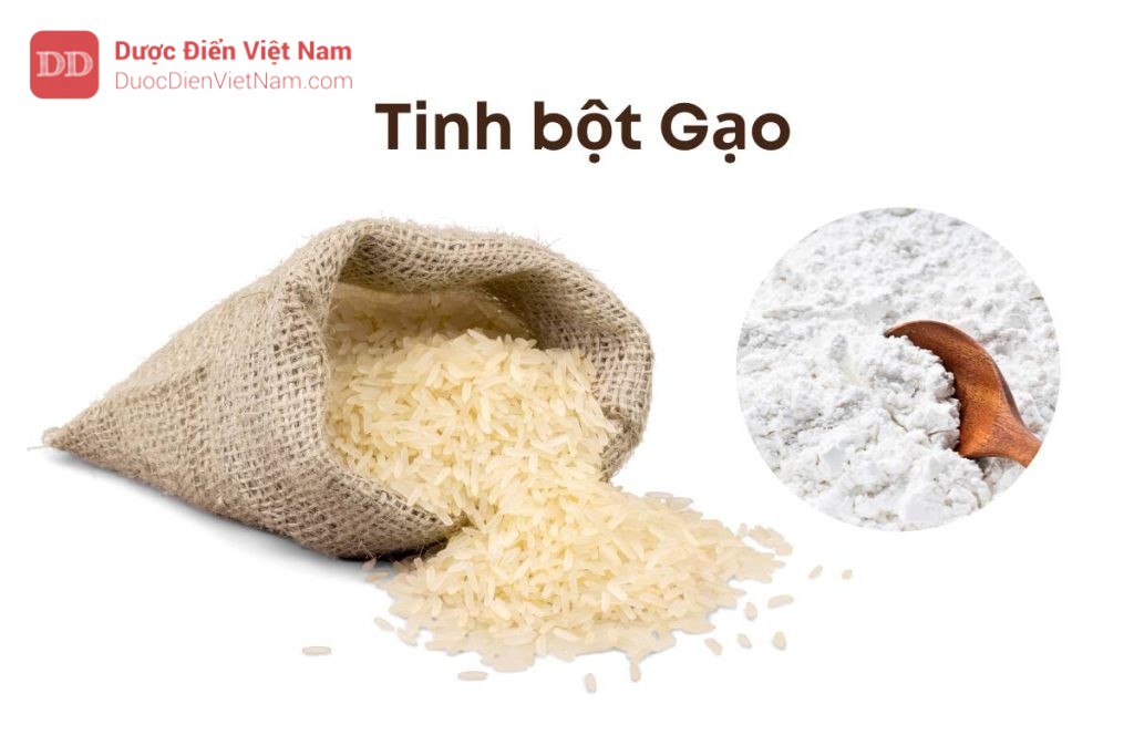 TINH BỘT GẠO