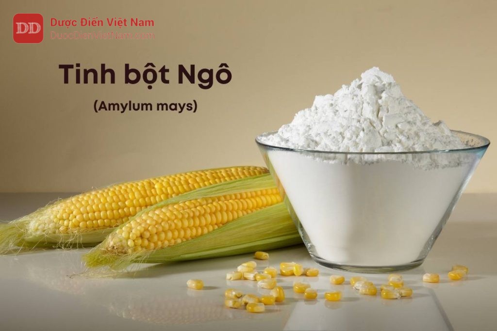 TINH BỘT NGÔ