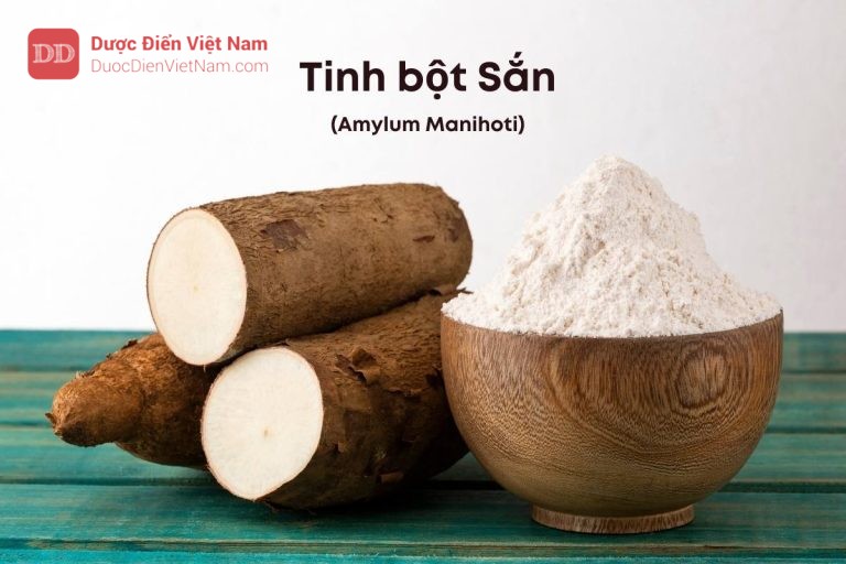 TINH BỘT SẮN