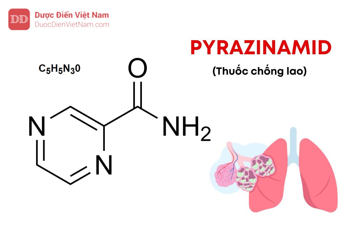 PYRAZINAMID (Pyrazinamidum) – Dược Điển Việt Nam 5
