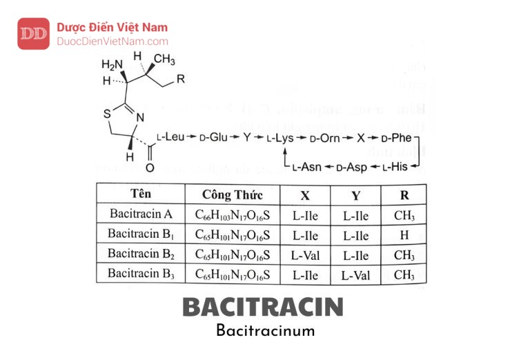 Bacitracin