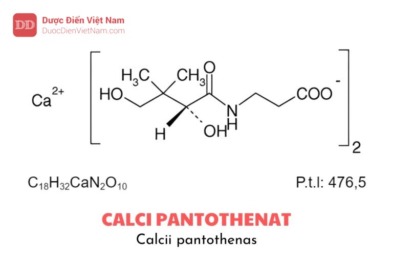 Calci pantothenat