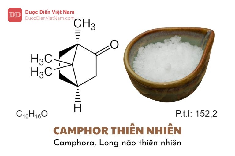 CAMPHOR THIÊN NHIÊN