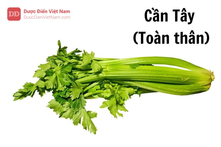 Cần tây toàn thân