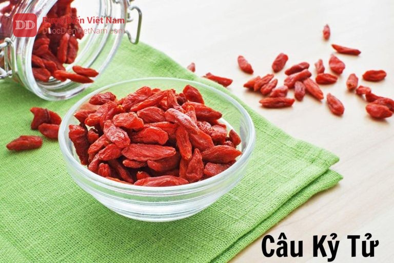 Câu kỷ tử