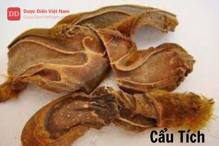 Cẩu tích