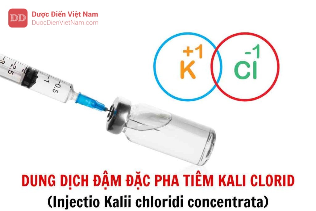 DUNG DỊCH ĐẬM ĐẶC PHA TIÊM KALI CLORID