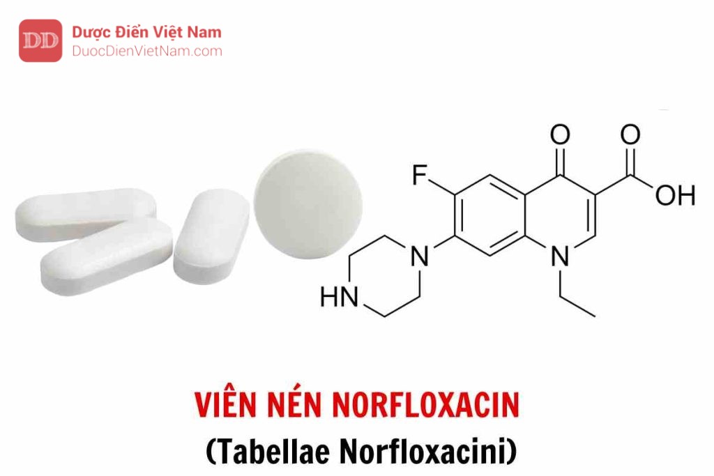 VIÊN NÉN NORFLOXACIN