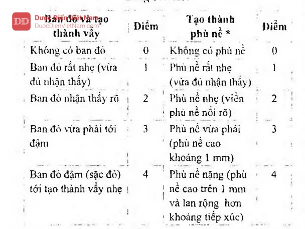 Đồ đựng bằng chất dẻo dùng cho chế phẩm thuốc tiêm