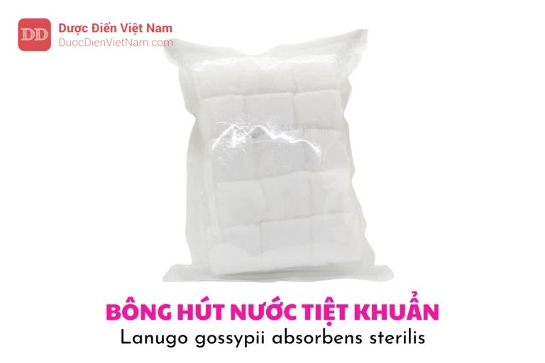 Bông hút nước tiệt khuẩn