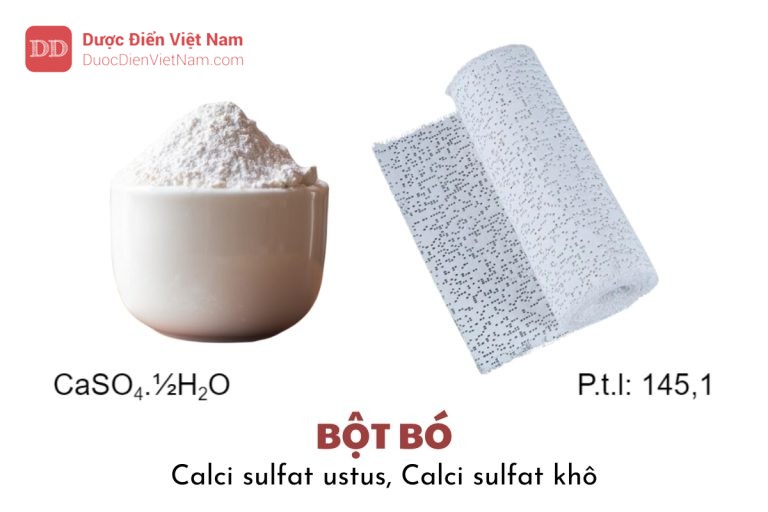 Bột bó