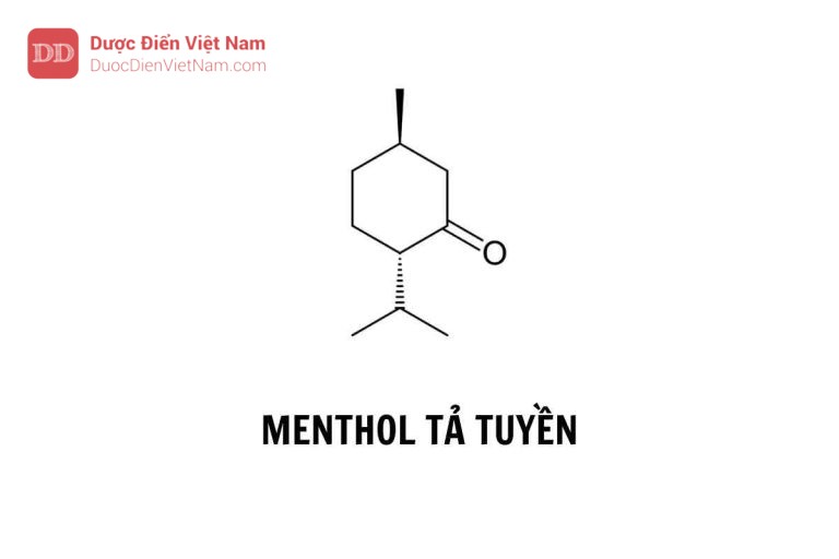 MENTHOL TẢ TUYỀN