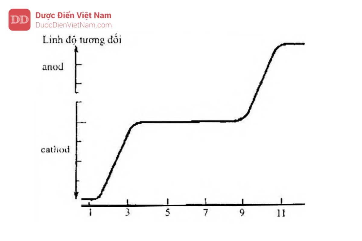 Hình 5.6.1. Linh độ điện di của glycin