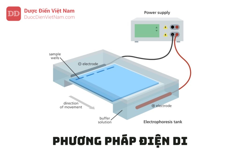 PHƯƠNG PHÁP ĐIỆN DI