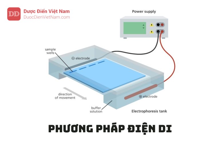 PHƯƠNG PHÁP ĐIỆN DI