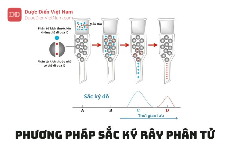 PHƯƠNG PHÁP SẮC KÝ RÂY PHÂN TỬ