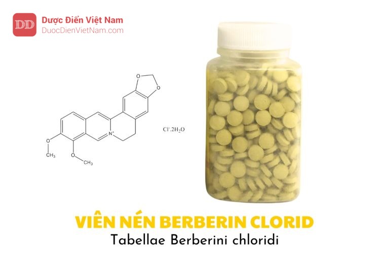 VIÊN NÉN BERBERIN CLORID