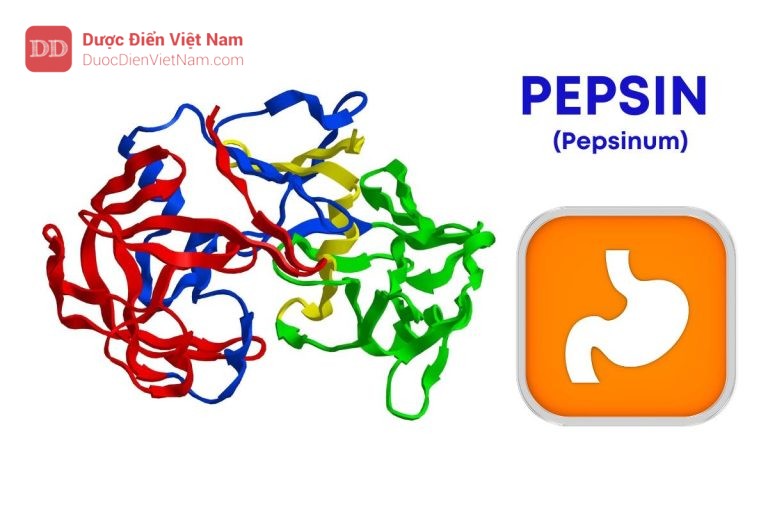 PEPSIN