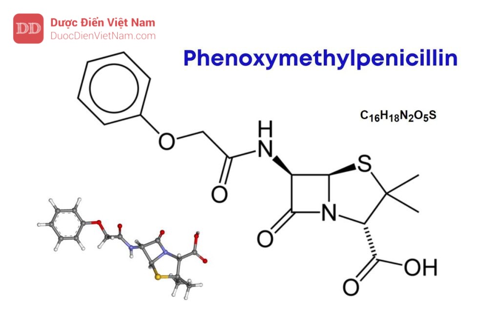 PHENOXYMETHYLPENICILLIN