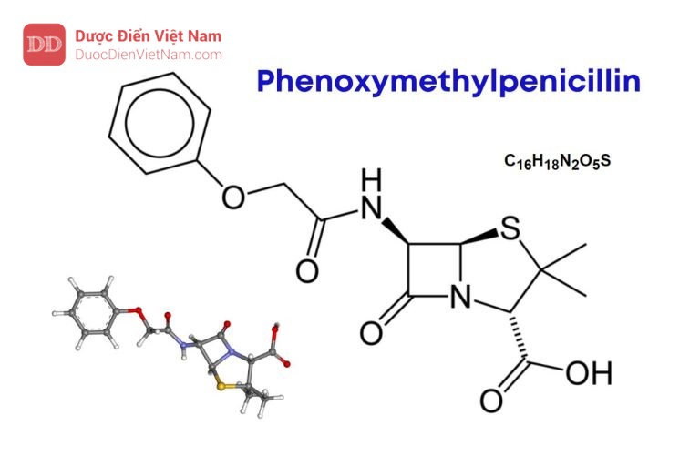 PHENOXYMETHYLPENICILLIN