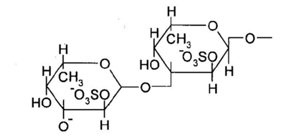 Cấu trúc hóa học của Fucoidan