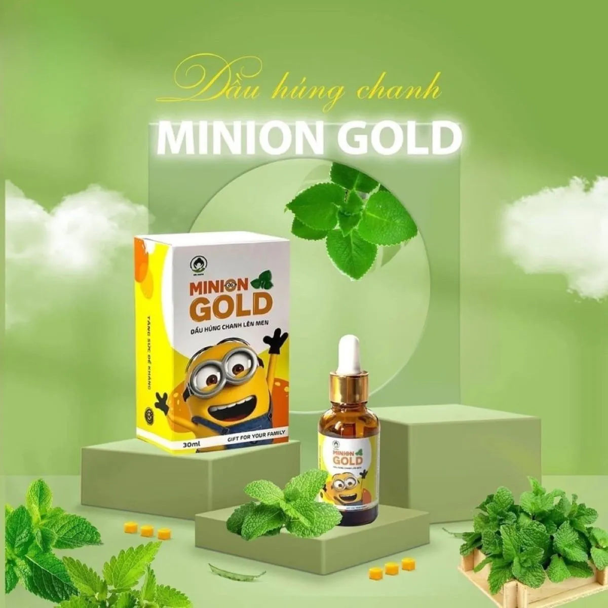 Tinh dầu húng chanh Minion Gold