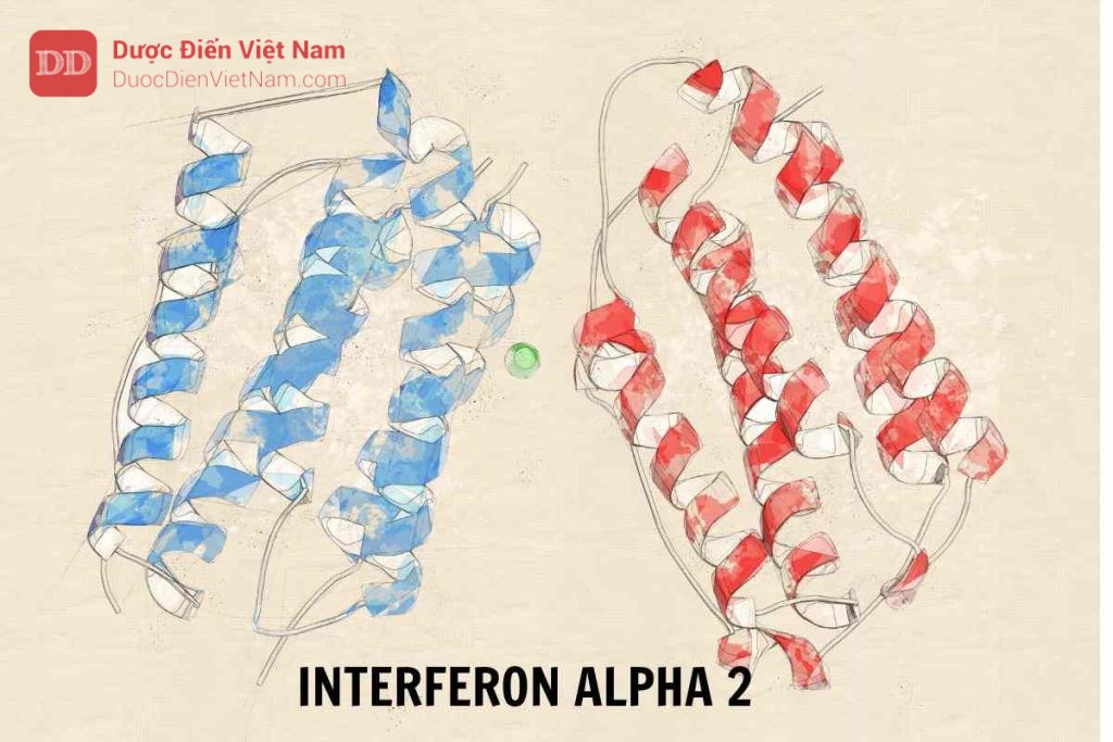 INTERFERON ALPHA 2