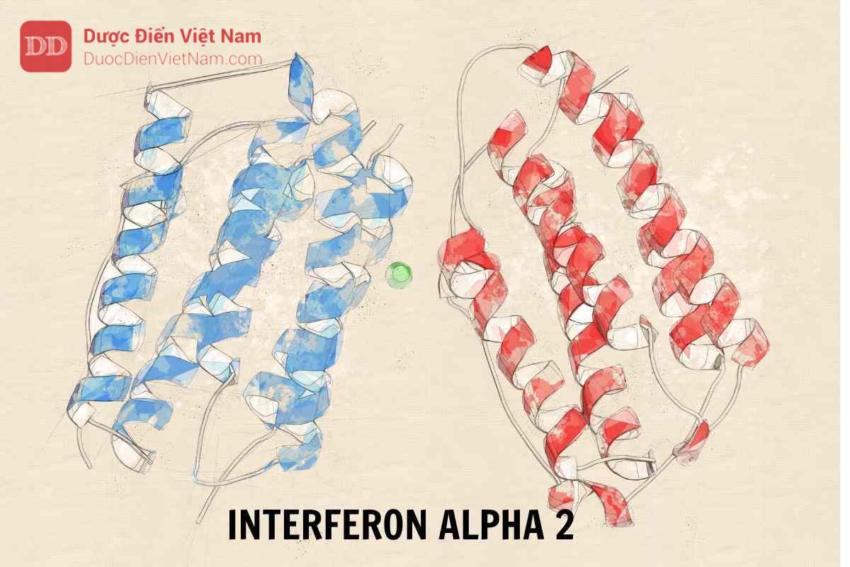 INTERFERON ALPHA 2 (Interferoni alfa 2) - Dược điển Việt Nam 5 ...