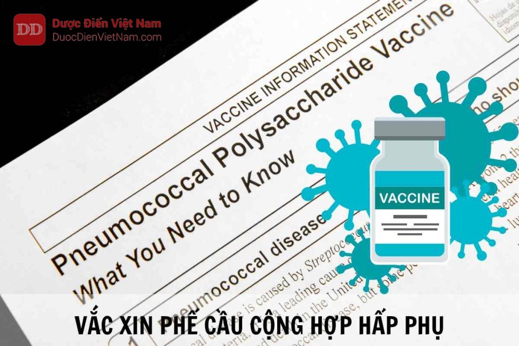 VẮC XIN PHẾ CẦU CỘNG HỢP HẤP PHỤ