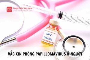 VẮC XIN PHÒNG PAPILLOMAVIRUS Ở NGƯỜI