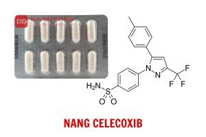 Nang Celecoxib - Dược điển Việt Nam 5 bản bổ sung