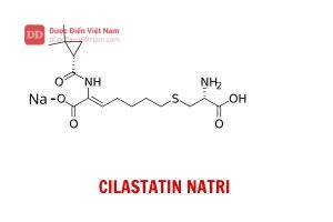 Cilastatin Natri - Dược điển Việt Nam 5 bản bổ sung