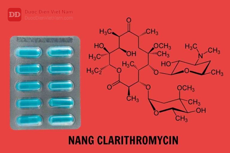 Nang Clarithromycin - Dược điển Việt Nam 5 bản bổ sung