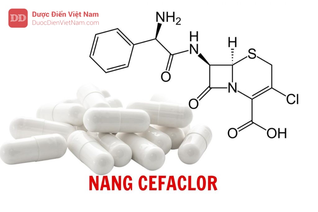 Nang Cefaclor - Dược điển Việt Nam 5 bản bổ sung