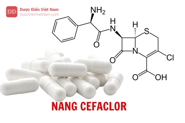 Nang Cefaclor - Dược điển Việt Nam 5 bản bổ sung