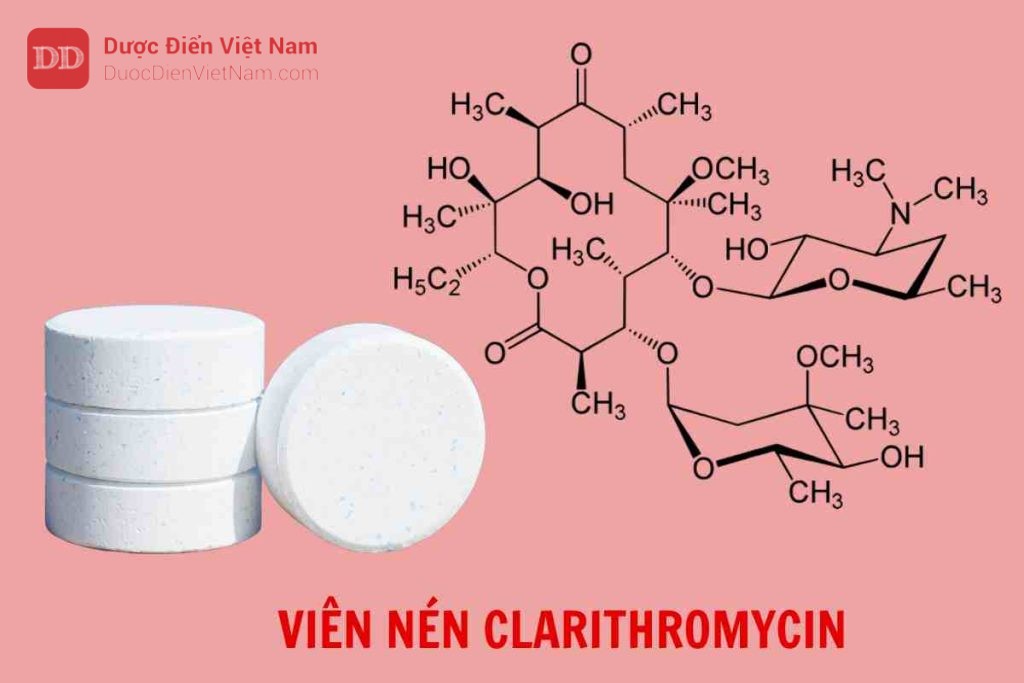 Viên nén Clarithromycin - Dược điển Việt Nam 5 bản bổ sung