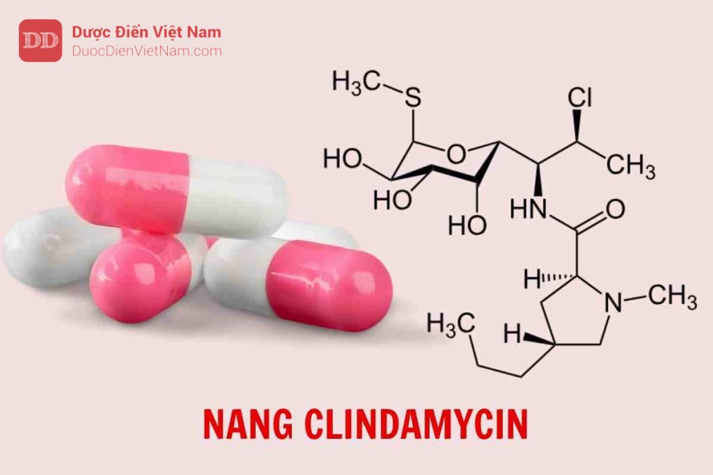 Nang Clindamycin - Dược điển Việt Nam 5 bản bổ sung